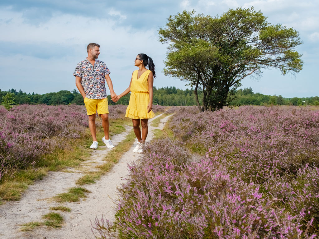 Entdecken Sie die Reiseziele in den Niederlanden mit RENT AND TRAVEL