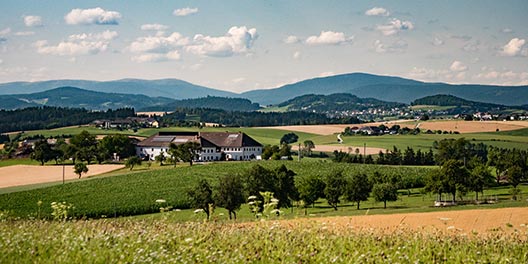 RENT AND TRAVEL – Mieten Sie Ihr Fahrzeug in Weisskirchen in Österreich